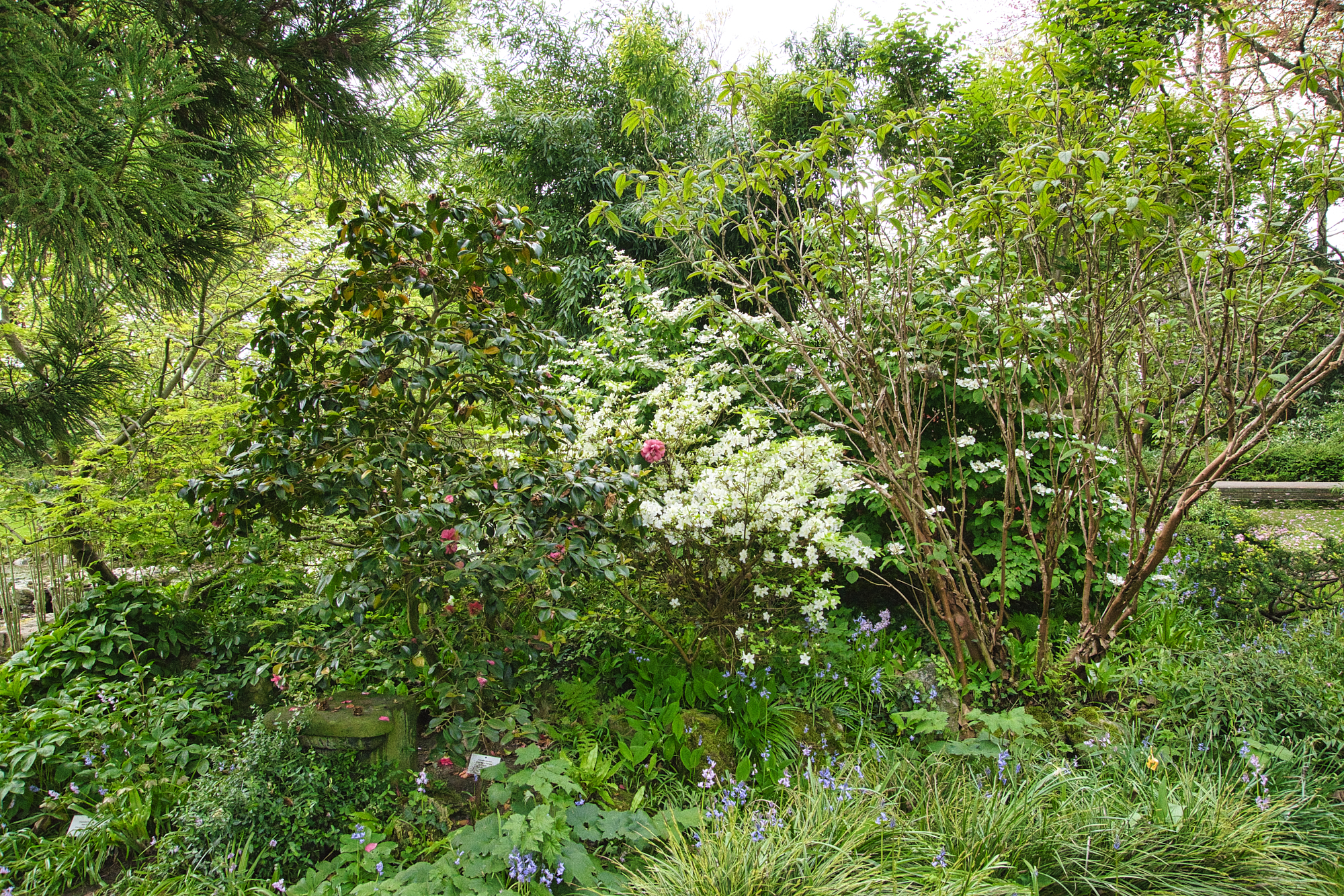 JapGartenLeverkusen 8